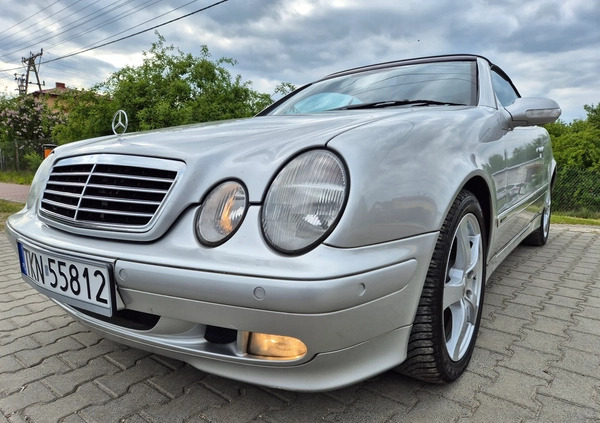 Mercedes-Benz CLK cena 21900 przebieg: 215283, rok produkcji 2002 z Końskie małe 254